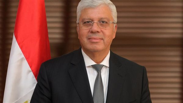 الدكتور أيمن عاشور،