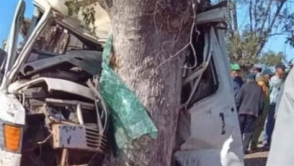 اصطدام سيارة بشجرة