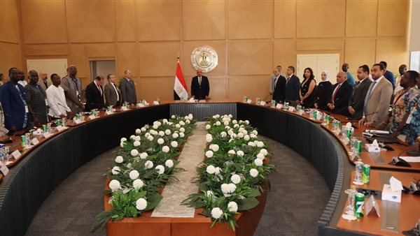 وزير الكهرباء 