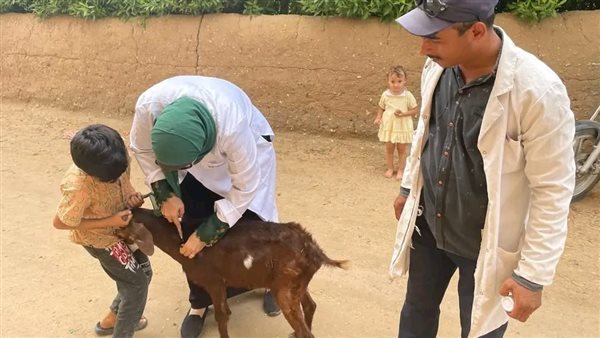 تطعيم بيطري