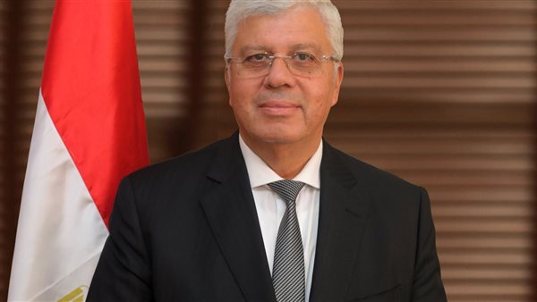 الدكتور أيمن عاشور،