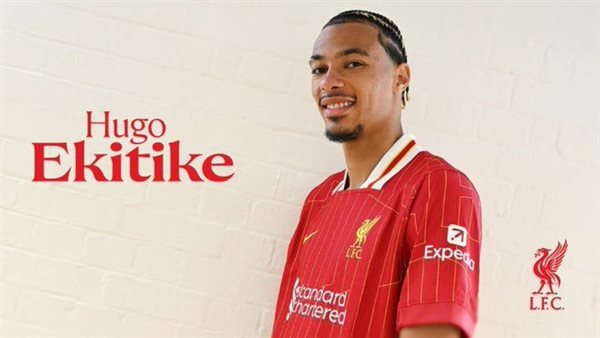 هوجو إيكيتيكي