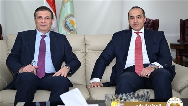 المستشار محمود فوزي