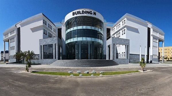 جامعة سيناء