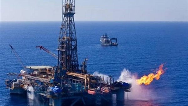 قطاع البترول 