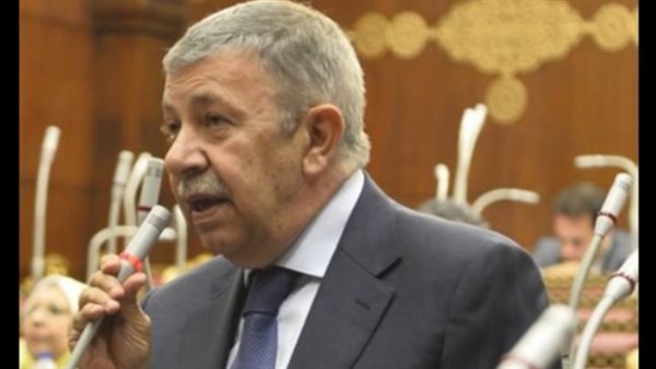 السفير عمرو حلمي