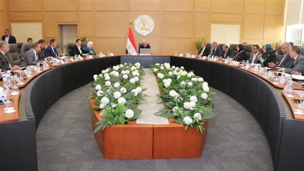 وزير الكهرباء 