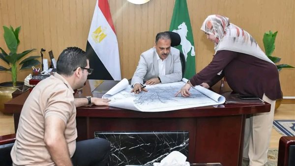 محافظ الشرقية