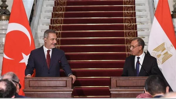 وزيرا خارجية مصر