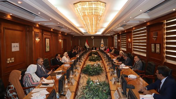 التعليم العالي