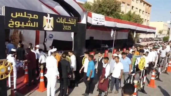 انتخابات مجلس الشيوخ