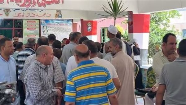 انتخابات مجلس الشيوخ