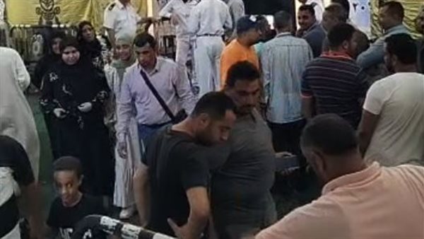 انتخابات الشيوخ