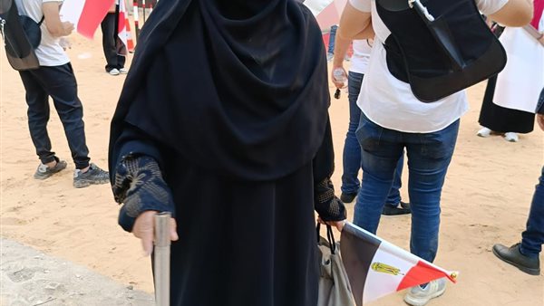 انتخابات مجلس الشيوخ