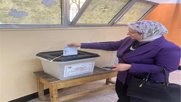 نائب وزير الكهرباء