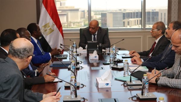 وزير الكهرباء 