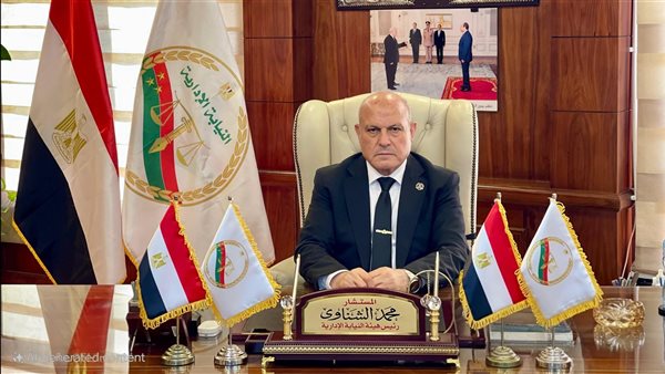  المستشار محمد الشناوي