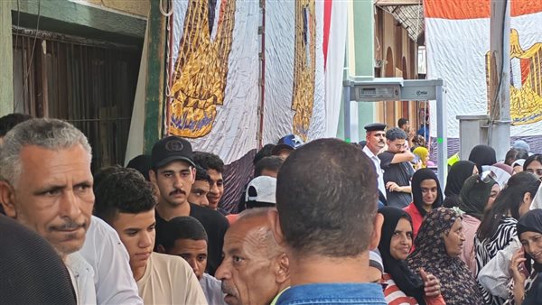 انتخابات مجلس الشيوخ