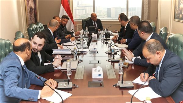 وزير الكهرباء 