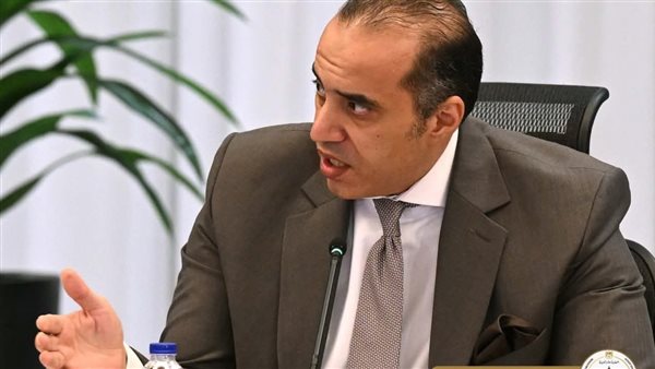 المستشار محمود فوزي،