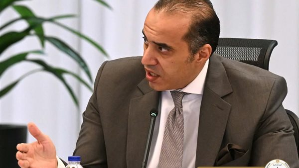 المستشار محمود فوزي،