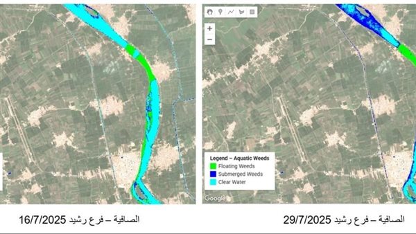 فرعا رشيد ودمياط