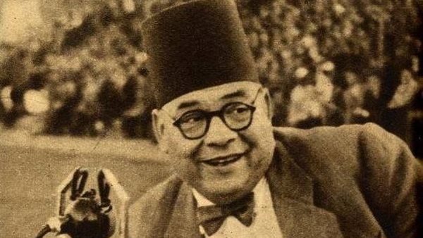 محمود بدر الدين