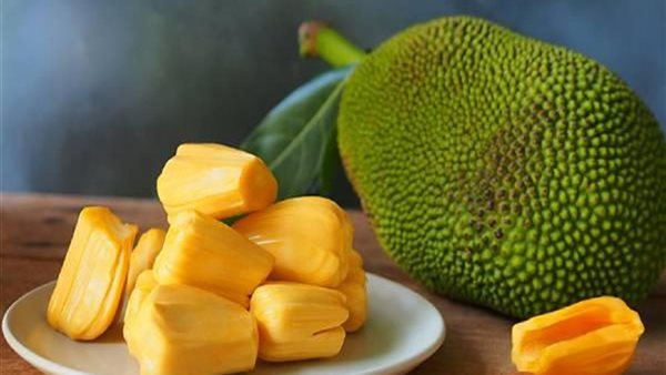 فاكهة الجاك فروت