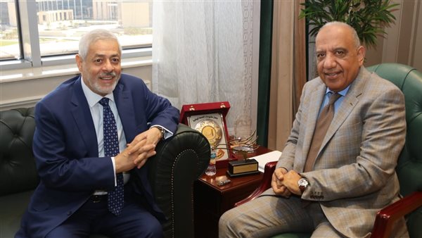 وزير الكهرباء 