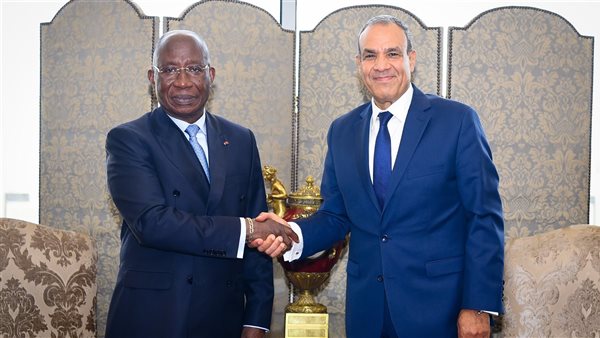 وزيرا خارجية مصر