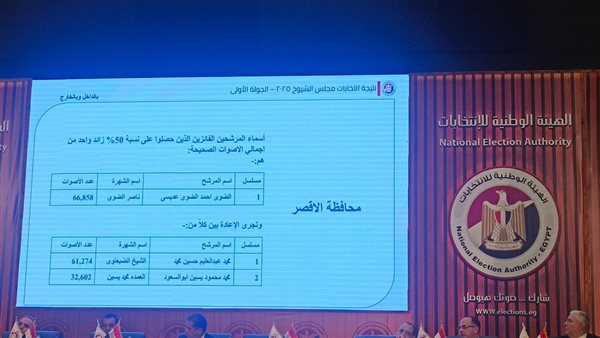 الهيئة الوطنية للانتخابات