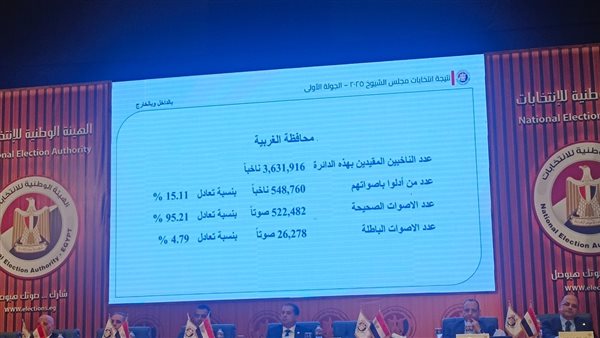 الهيئة الوطنية للانتخابات