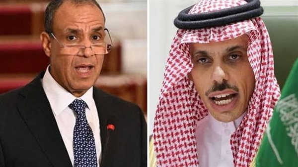  وزيرا خارجية مصر