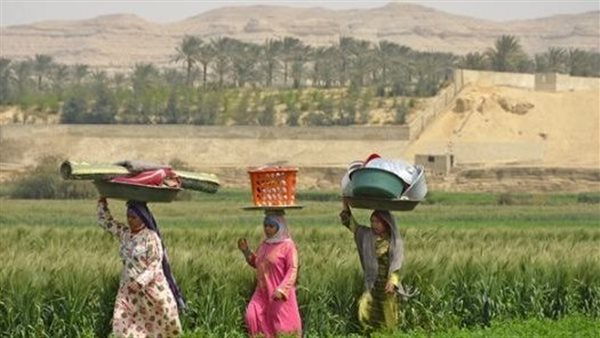 مبادرة بنت الريف