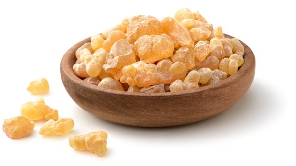 لبان الذكر.. أرشيفية