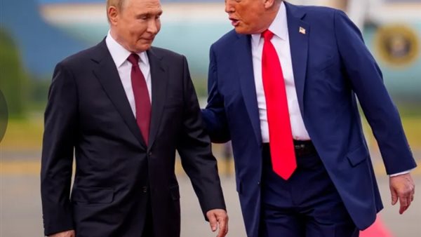  ترامب - زيلينسكي