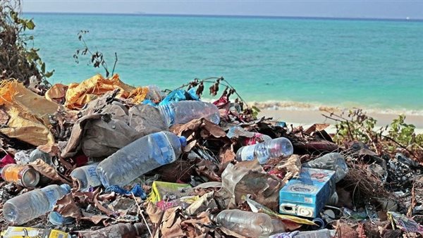 التلوث البلاستيكى..