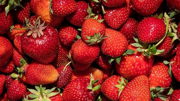 فارولة.. أرشيفية