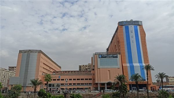 جامعة القاهرة 