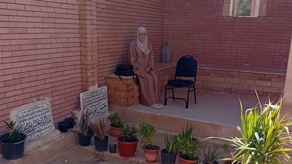 شمس البارودي 