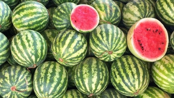 البطيخ.. أرشيفية