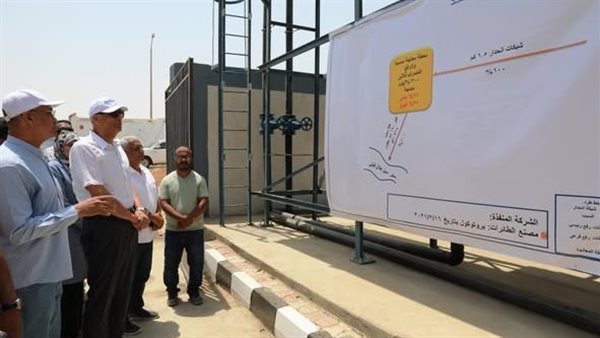 محافظ اسوان