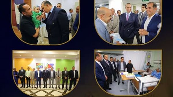 المستشار محمود فوزي،