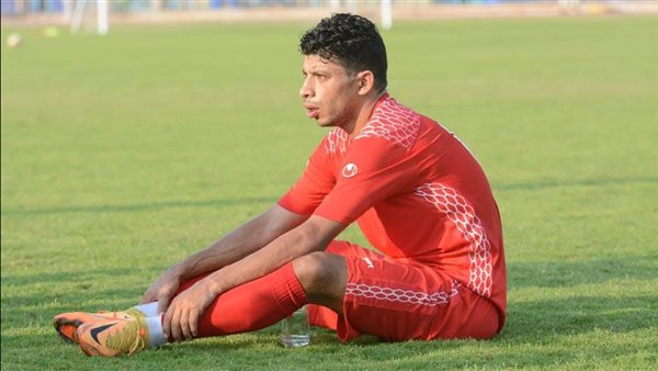  صفقات المطرية