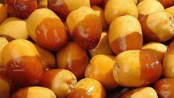 البلح البرحى