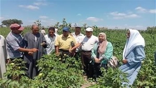 جانب من الورشة