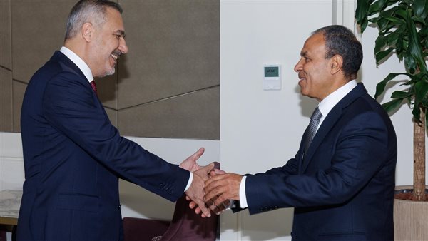 بدر عبد العاطي -