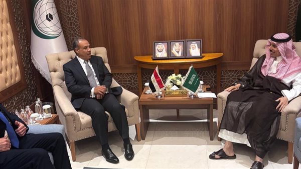 وزيرا خارجية مصر