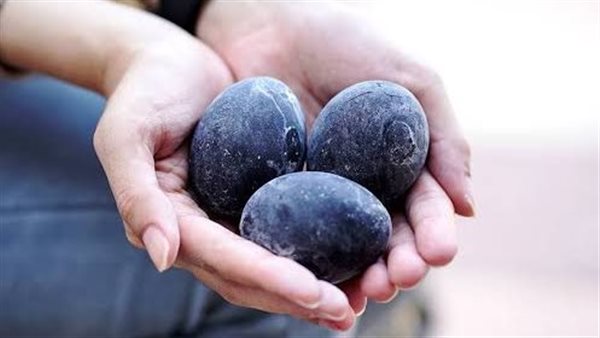 البيض الاسود.. تصوير