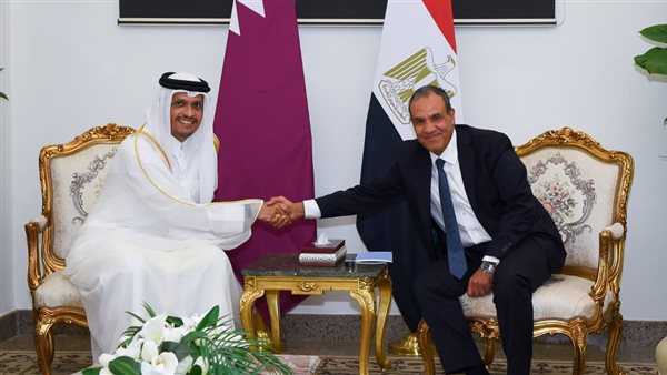 بدر عبد العاطي -